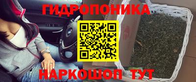 трава Аргун