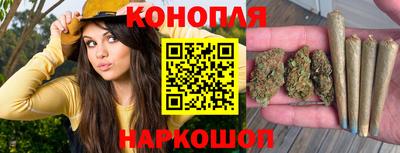 трава Аргун