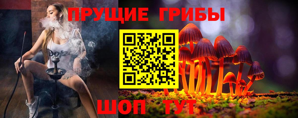 Псилоцибиновые грибы Magic Shrooms Владикавказ